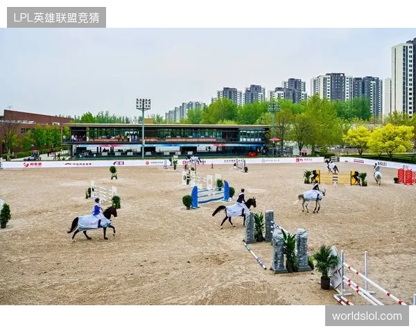 马术障碍赛马不跳障碍转去吃草